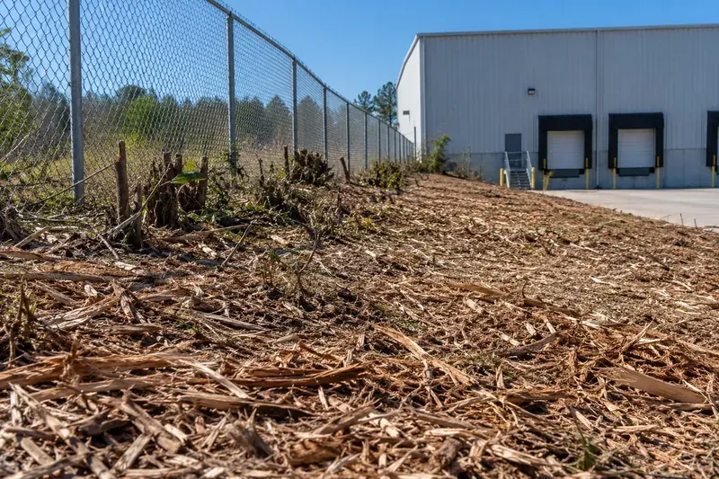 Freshly mulched ground along a property boundary