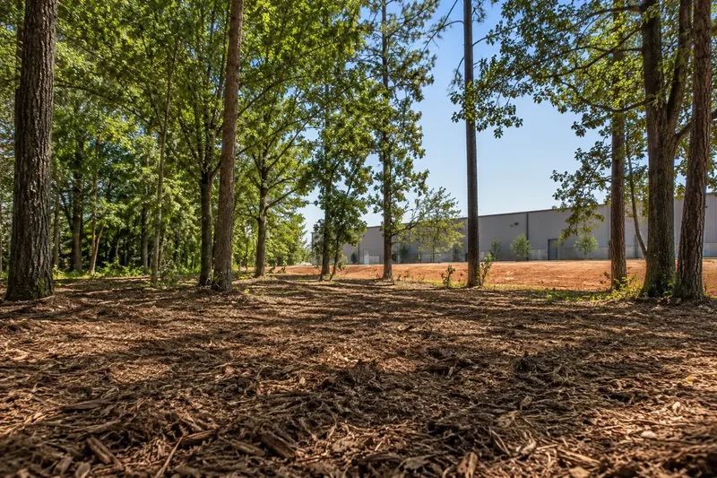 Managed vegetation and retained trees beside a commercial development