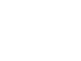 Expert E-Designer certification seal