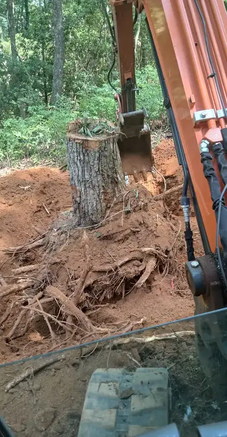 Clearing