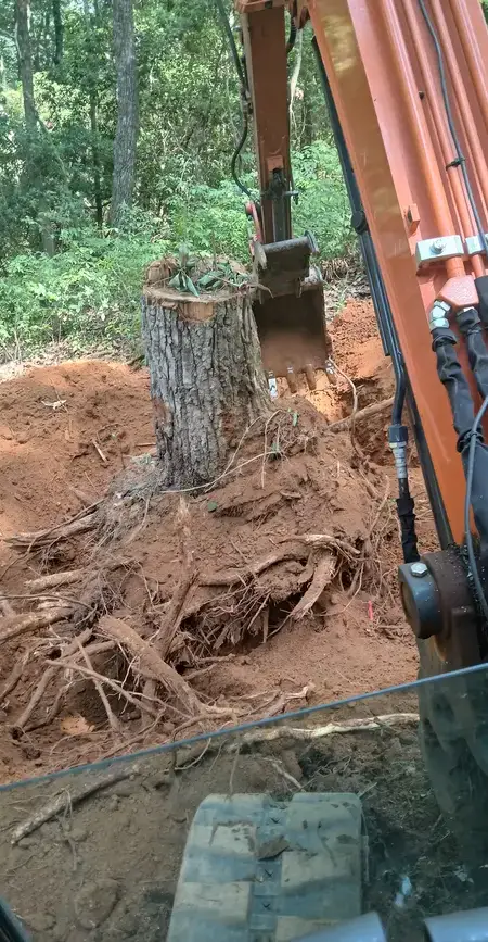 Clearing