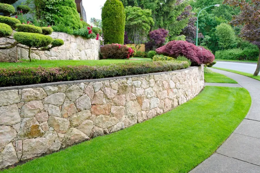 Curved stone retaining wall with mature flowering shrubs and a green lawn