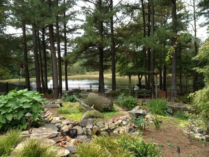Natural stone stream winding through a planted woodland garden