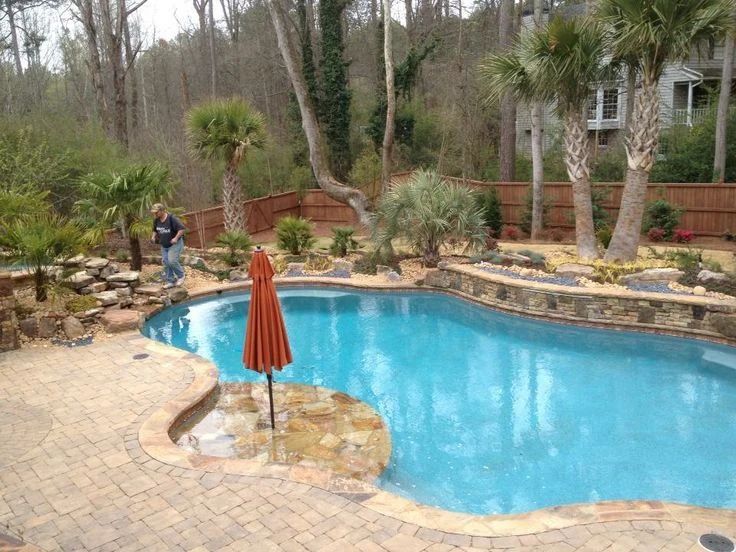 Freeform pool surrounded by a stone patio and established landscaping