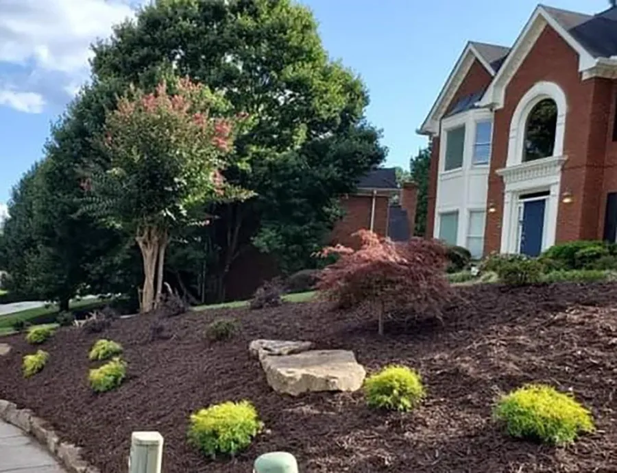 Mixed shrubs and ornamental trees in a landscaped front garden