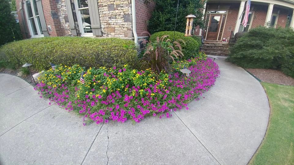 Colorful flower bed and clipped hedges beside a curved front walk