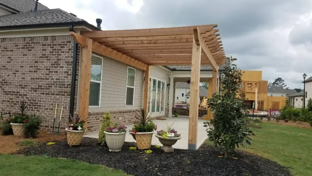 Timber pergola over a patio with flowering pots and garden planting