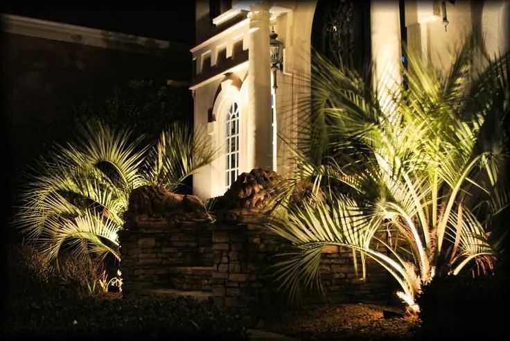 Warm landscape lighting among plants and stone steps