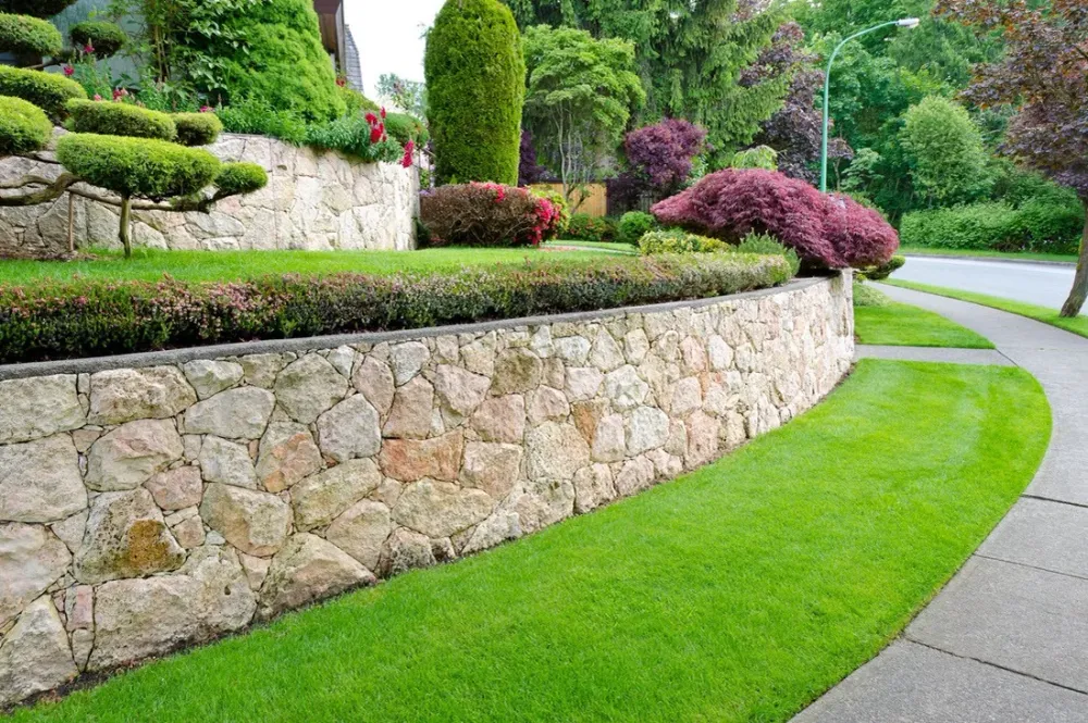 Landscape planting and detail
