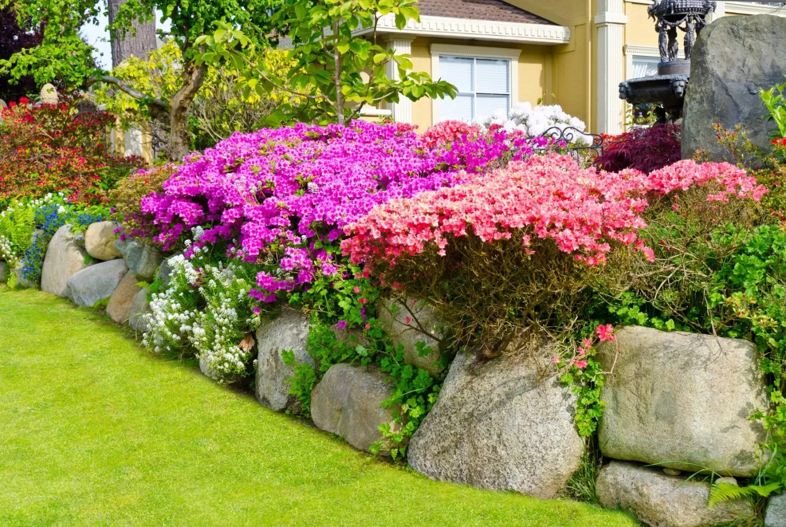 Flowering planting bed above a boulder border