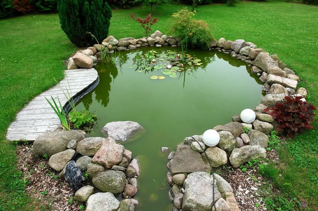 Koi pond with a curving garden path and planted edges