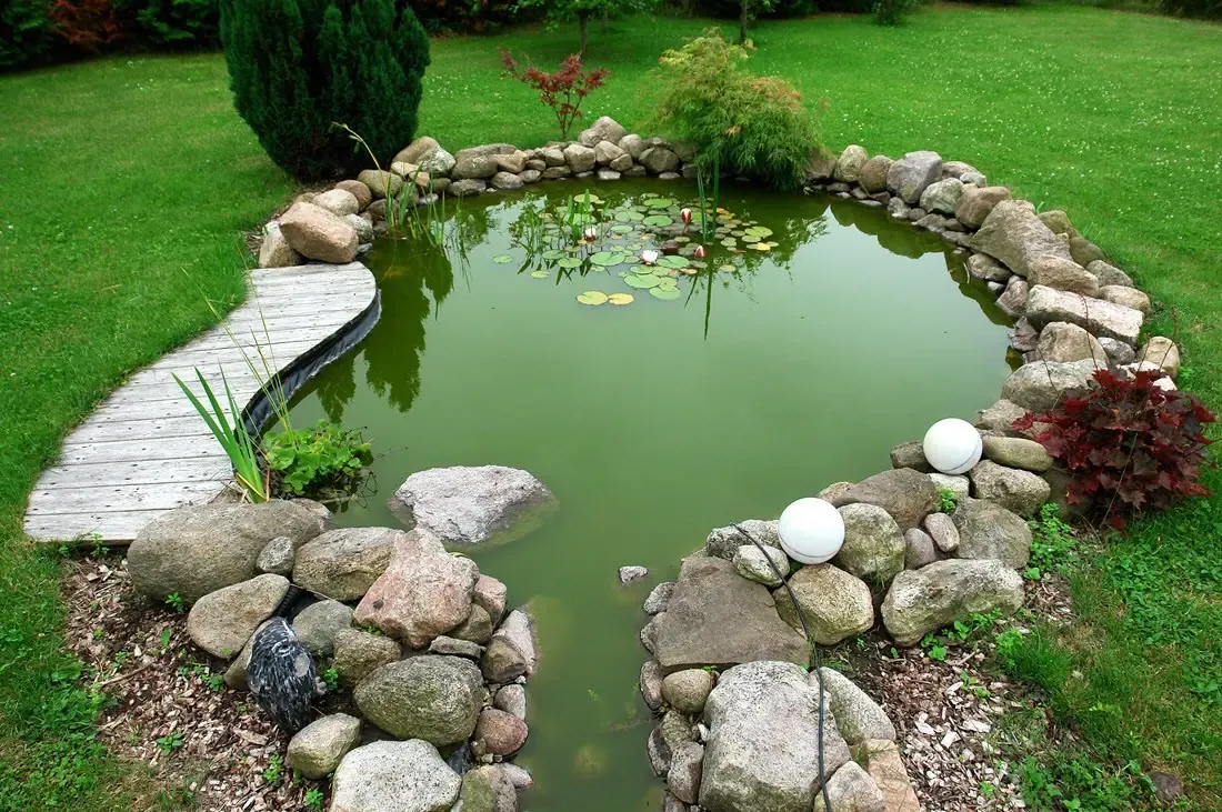 Koi pond with a curving garden path and planted edges