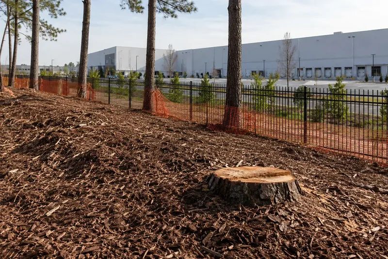 Freshly mulched ground along a property boundary