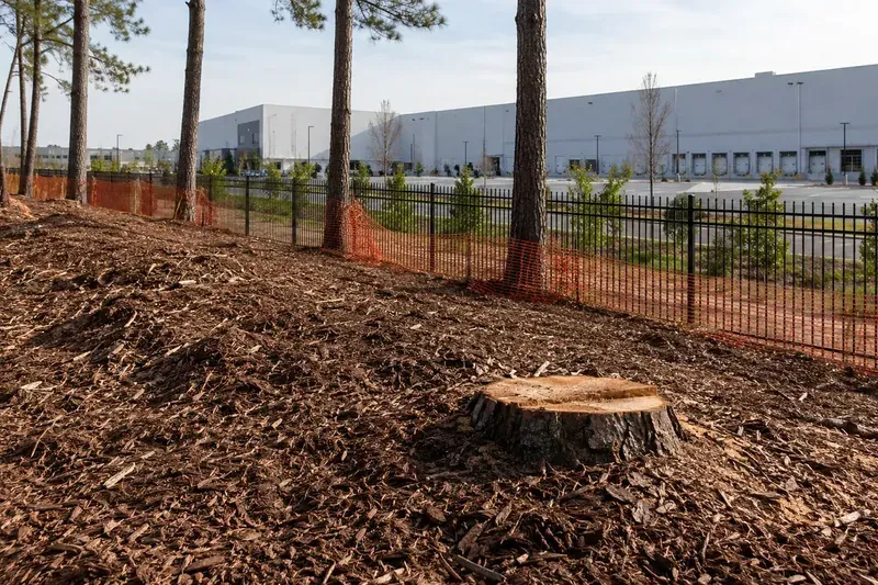 Freshly mulched ground along a property boundary