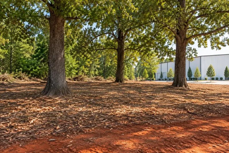 Managed vegetation and retained trees beside a commercial development