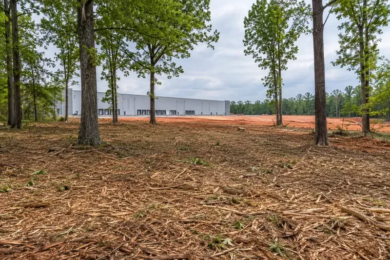 Managed vegetation and retained trees beside a commercial development