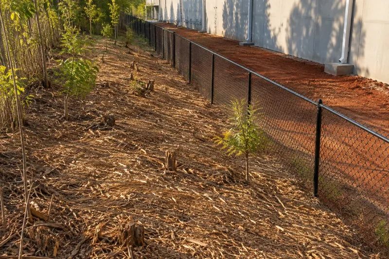 Freshly mulched ground along a property boundary