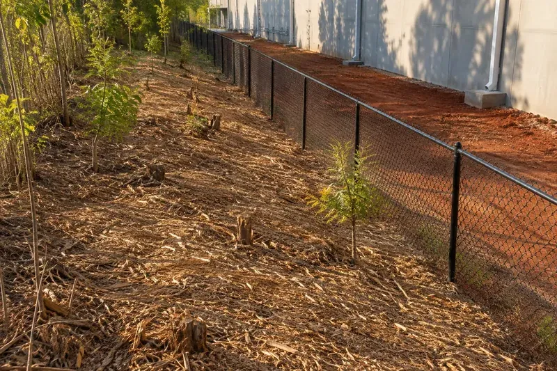 Freshly mulched ground along a property boundary