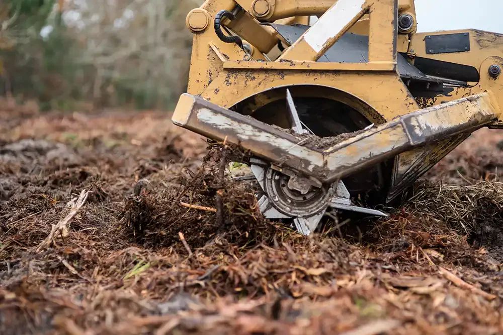 Forestry mulching attachment processing brush and woody vegetation